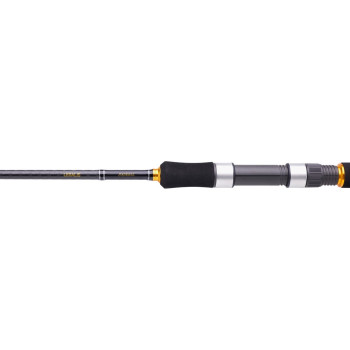 Daiwa New Legalis Sea Bass 2,59m