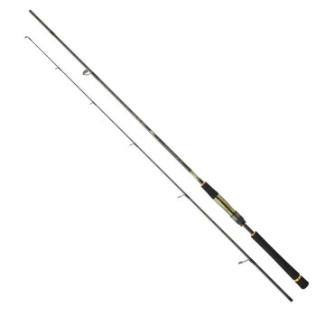 Daiwa CrossCast Spinning 2,44m